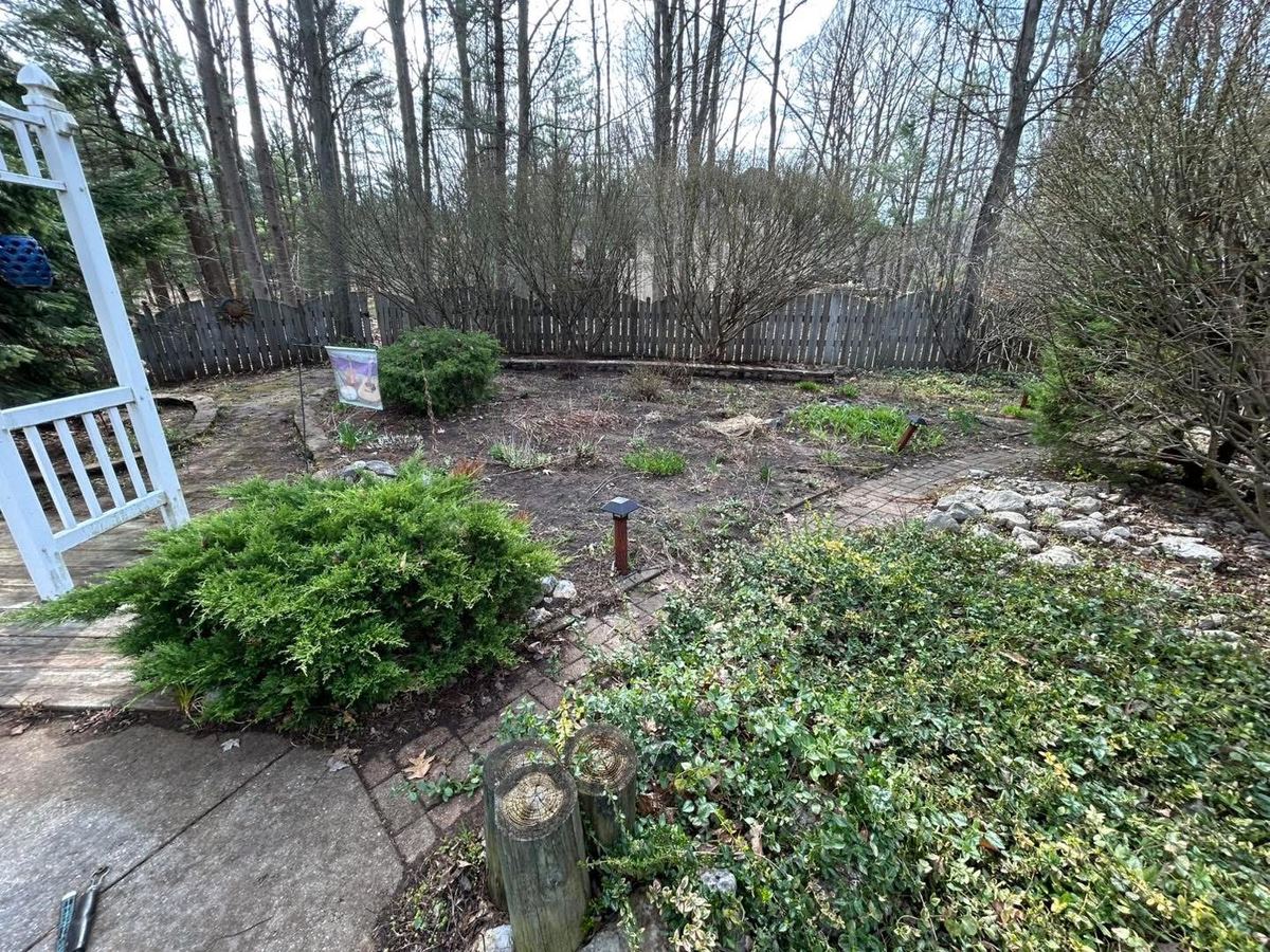 After — garden beds and shrubs cleaned up