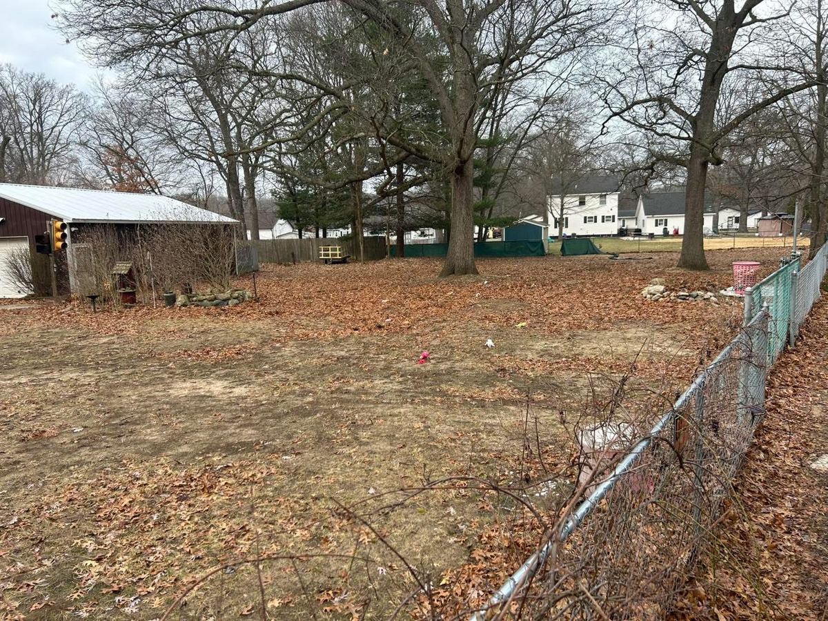 Before — property grounds covered in leaves and debris