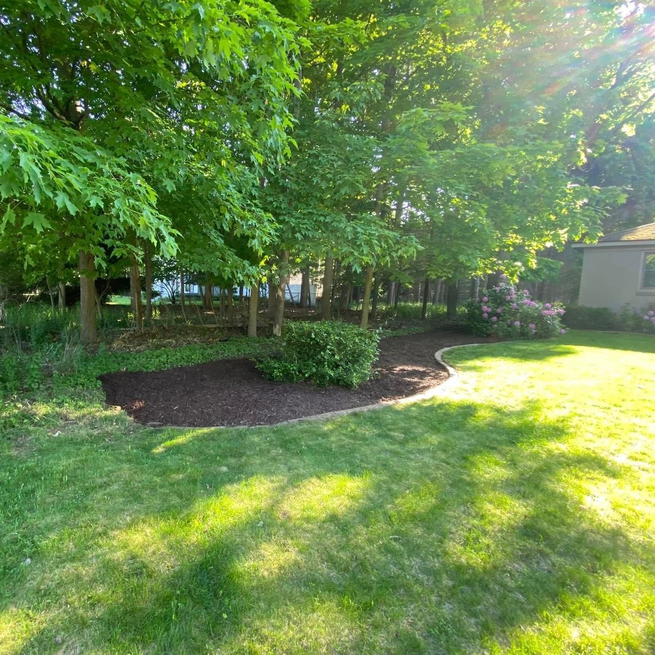 After — backyard mowed with a fresh mulched bed line